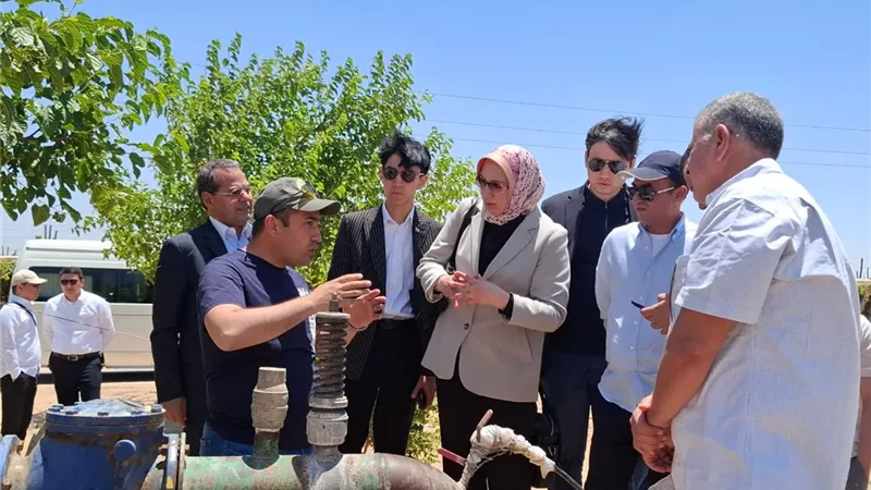 وفد أوزبكي يزور مصر لتبادل الخبرات الزراعية ويشيد بتجربة الزراعة الحديثة والتنمية الصحراوية