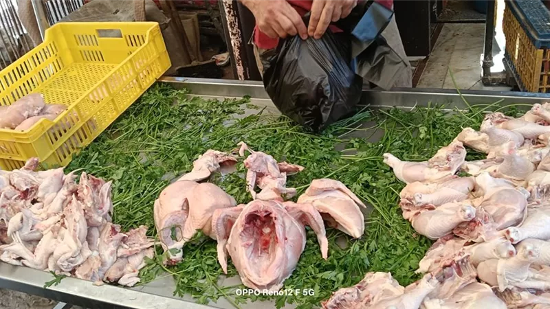 ضبط سلعًا منتهية الصلاحية ومخالفات في حملة تموينية بكفر الشيخ