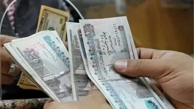 بالزيادة الجديدة.. التضامن تبدأ صرف تكافل وكرامة عن شهر يوليو غدًا