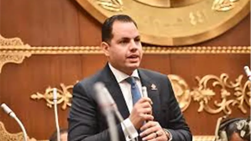 برلماني: توجيهات الرئيس بشأن الإيجار القديم تعكس حرصه على استقرار المجتمع