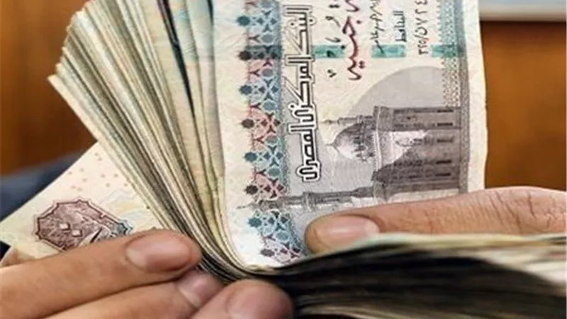 تفاصيل زيادة المرتبات 2025 للمعلمين وأساتذة الجامعات وتطبيق الحد الأدنى الجديد اعتبارًا من يوليو
