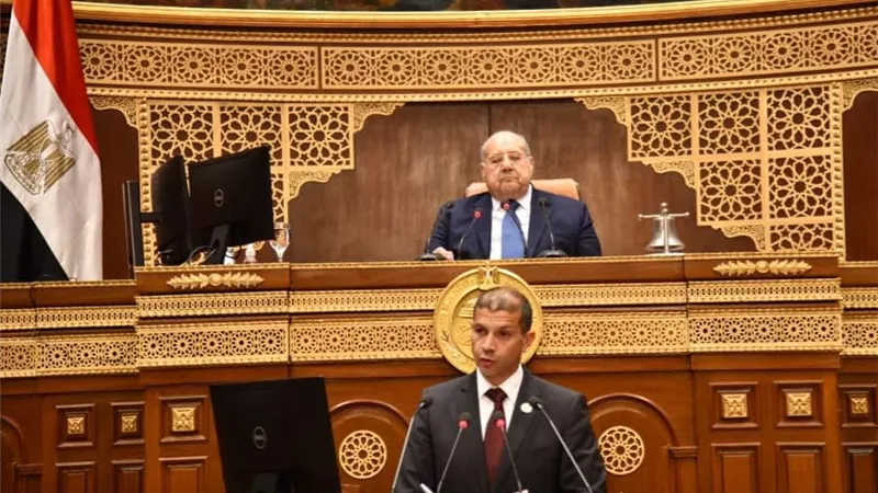 مجلس الشيوخ يحيل دراسة الأثر التشريعي لقانون الضريبة العقارية للرئاسة 