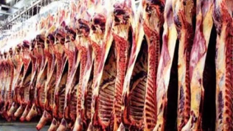 توزيع لحوم الأضاحي بعد عيد الأضحى 2025.. إليك طريقة التقسيم والحكم الشرعي