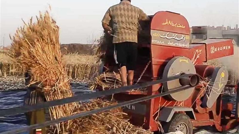 ارشيفية 
