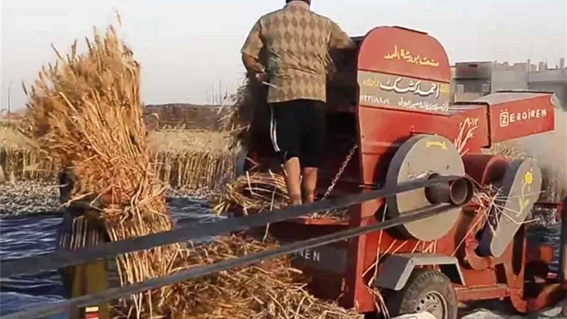 شهداء لقمة العيش.. 