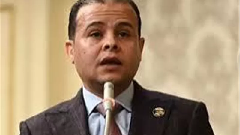 برلماني: الرئيس السيسي وجّه بتذييل العقبات أمام المستثمرين لزيادة الاستثمار 