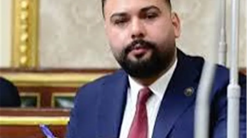 برلماني: مصر غيرت الرأي العام الدولي تجاه القضية الفلسطينية وأوضحت صورتها الحقيقية