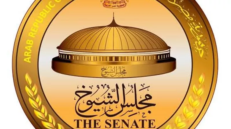 اليوم الثالث لتلقي طلبات الترشح لـ«الشيوخ».. إقبال متوسط وانتظام في العمل