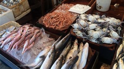 أسعار الأسماك اليوم الأربعاء 4 يونيو 2025.. البلطي بكام النهارده؟