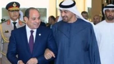 السيسي ونظيره الإماراتي يؤكدان وحدة الموقف تجاه غزة وأمن الدول العربية