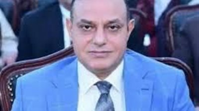 قيادي بحماة الوطن: زيارة الرئيس السيسي للإمارات تعكس عمق العلاقات المشتركة 