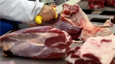 في ليلة العيد.. أعرف سعر اللحوم اليوم الخميس 5-6-2025 في مصر
