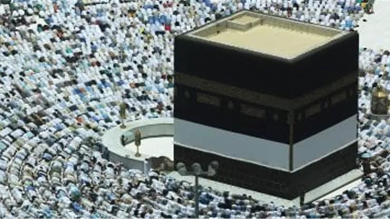 حجاج مصر يؤدون الظهر والعصر بمسجد نمرة في يوم عرفة