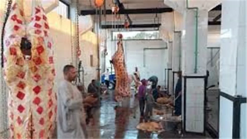 مجانا.. تخصيص 5 صالات لذبح الأضاحي في القاهرة