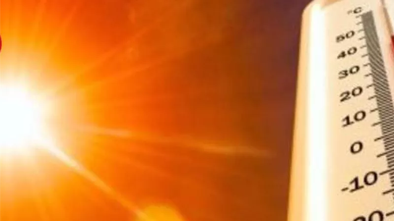 الأرصاد تحذر من طقس اليوم الإثنين.. شبورة كثيفة وتحذير لسائقي الطرق
