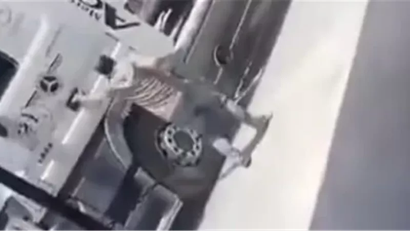 شهيد الشهامة
