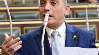برلماني يتقدم بطلب إحاطة حول استمرار تعطيل قانون رعاية حقوق المسنين.. تفاصيل