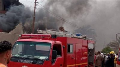 نفوق 7 روؤس ماشية في حريق منزل بقنا