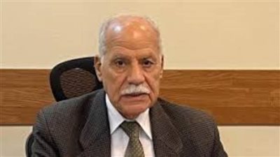 رئيس الحزب العربي الناصري لـ«الشباب»: لا للاستسلام.. الوطن ينتظرك|خاص
