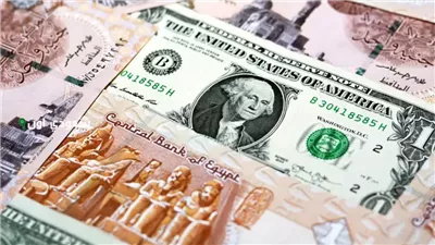 ولا طالع ولا نازل.. سعر الدولار اليوم مقابل الجنيه المصري الجمعة 13-6-2025