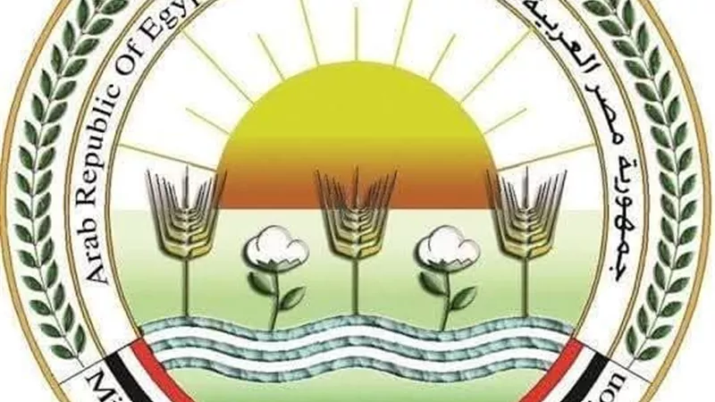 الزراعة: ذبح أكثر من 28 ألف أضحية خلال 3 أيام بالمجازر الحكومية مجانًا
