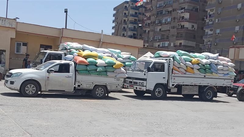 توريد القمح بكفر