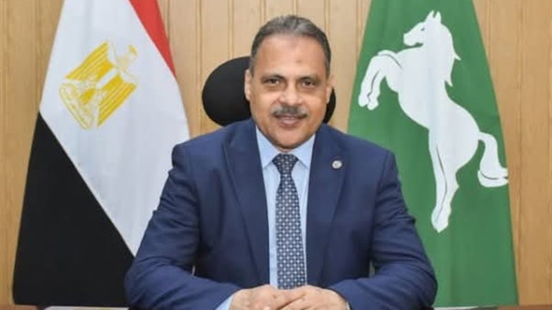 محافظ الشرقية 