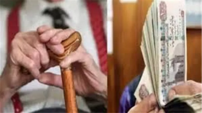 إشادة برلمانية بموقع 