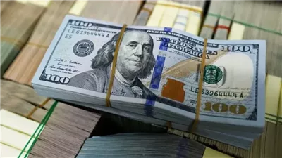 وزارة الداخلية تضبط قضايا اتجار غير مشروع بالعملات الأجنبية بـ 5 ملايين جنيه