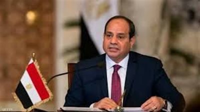 السيسي: المصريون لديهم قلق بشأن المياه.. ولكنني المسؤول عن إيجاد الحل
