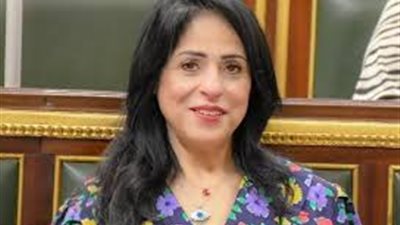 برلماني  لـ«بلدنا اليوم»: ضعف الأحزاب سببه غياب التنظيم والرؤية لا القوانين