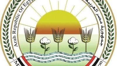 الزراعة: لا عجز في خامات الأعلاف.. واستقرار ملحوظ في أسواق الدواجن واللحوم