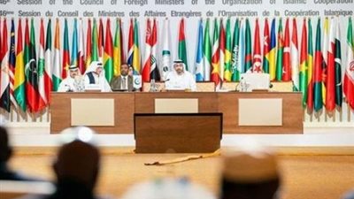 وزير الخارجية الإيراني يدعو منظمة التعاون الإسلامي لإدانة العدوان الإسرائيلي