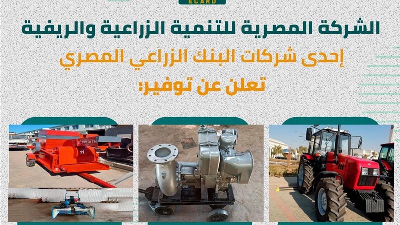  الشركة المصرية للتنمية