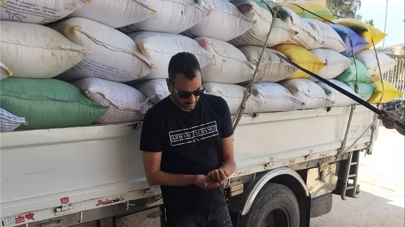 بتيسيرات للمزارعين.. استمرار توريد القمح بصوامع دسوق في كفر الشيخ