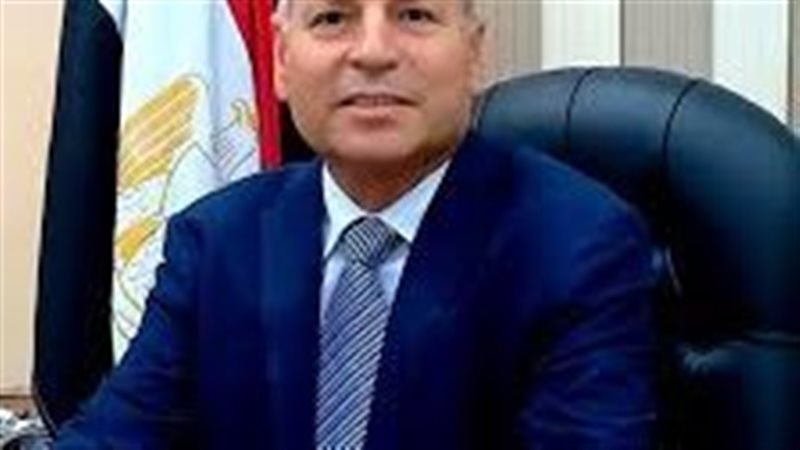 محافظ القاهرة
