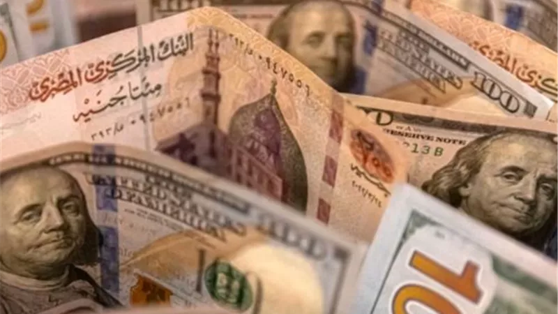 تحديث صباحي.. سعر الدولار مقابل الجنيه اليوم الخميس 19-6-2025