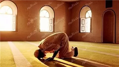 صلاتك في معادها.. مواقيت الصلاة اليوم الثلاثاء 24/6/2025