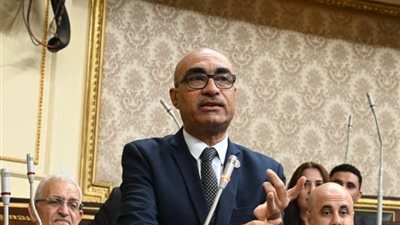 النائب إيهاب منصور: الدولة لا تستطيع توفير وحدات سكنية لجميع المستأجرين
