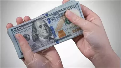 بكام الدولار؟ سعر الدولار أمام الجنيه المصري اليوم الاربعاء 25 يونيو 2025