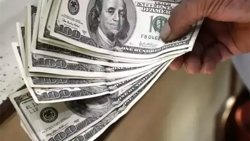 سعر الدولار 