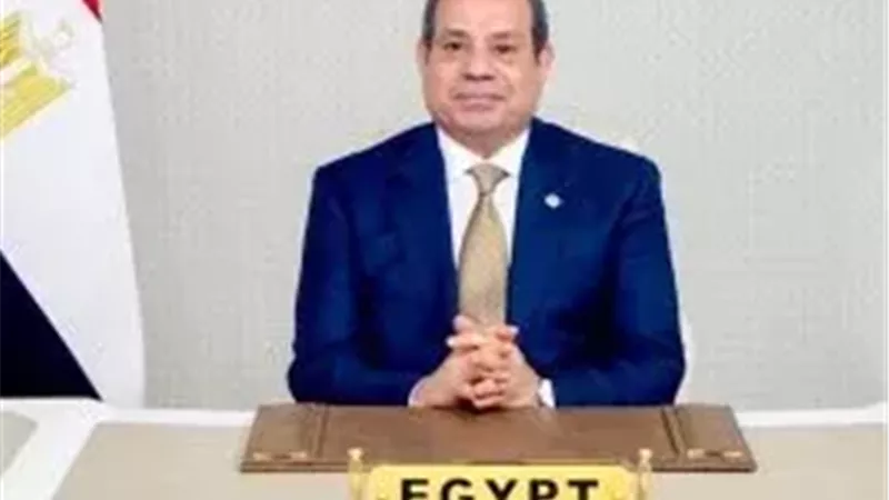 السيد الرئيس عبد