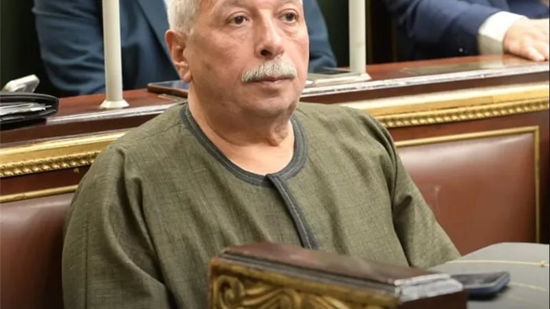 برلماني لـ«بلدنا اليوم»: تدهور زراعة القطن خطر على الأمن القومي