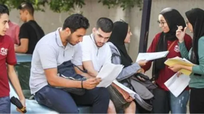 ارشيفية 