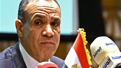 وزير الخارجية: مصر حريصة على تقديم كافة أشكال الدعم والخبرات الفنية لغينيا 