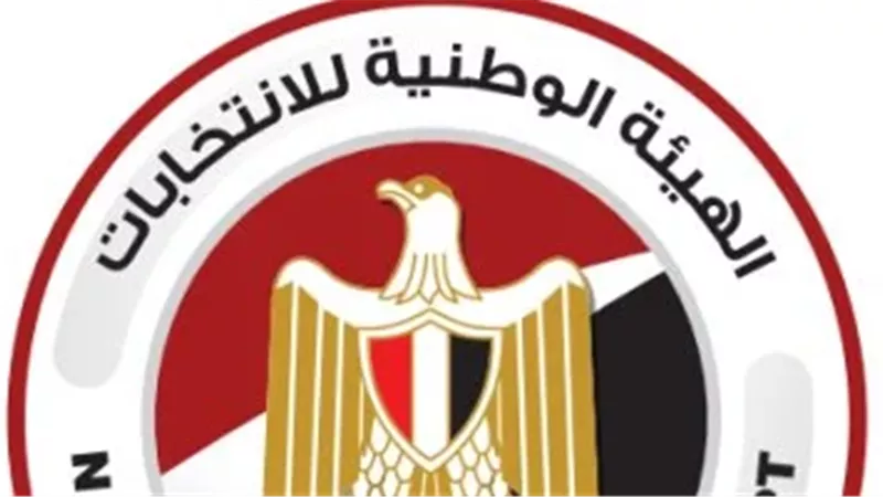 الهيئه الوطنيه للانتخابات