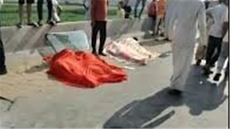 حبس سائق النقل المتسبب في فاجعة الطريق الإقليمي بالمنوفية.. «السر في التحليل»