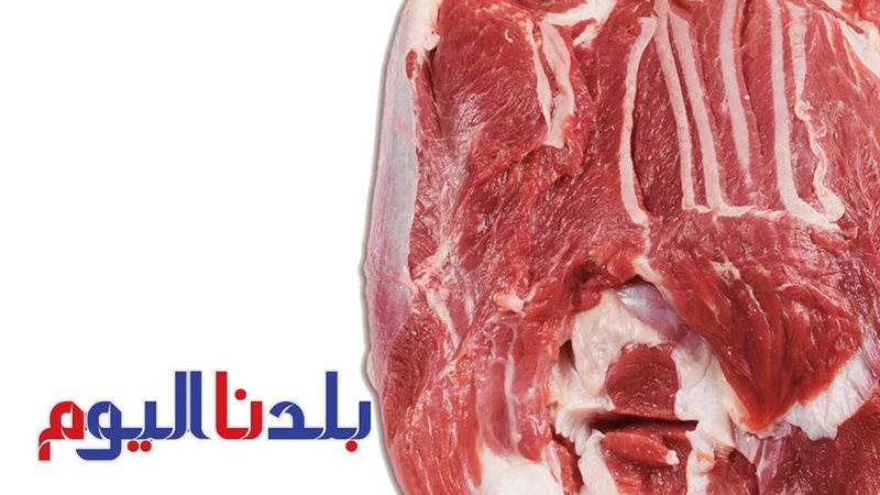 سعر اللحوم 