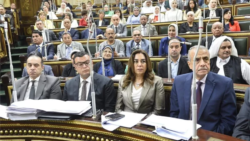 وزيرة التنمية المحلية: الحكومة لن تتخلى عن سكان الإيجار القديم