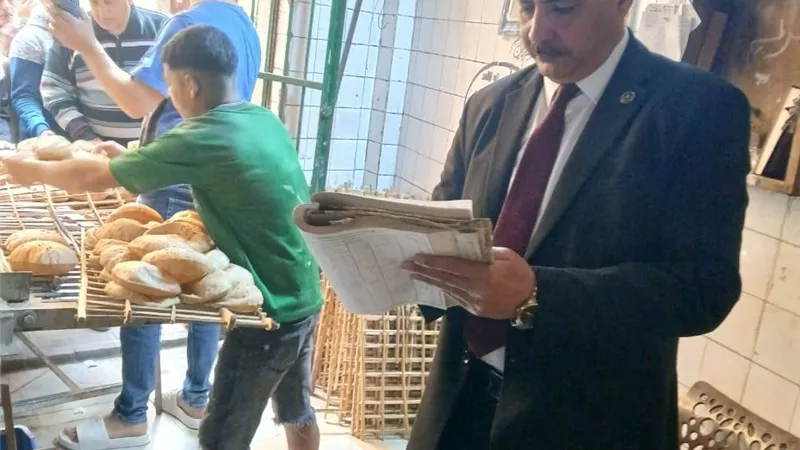 محافظ المنوفية: ضبط طن أعلاف مجهولة المصدر 